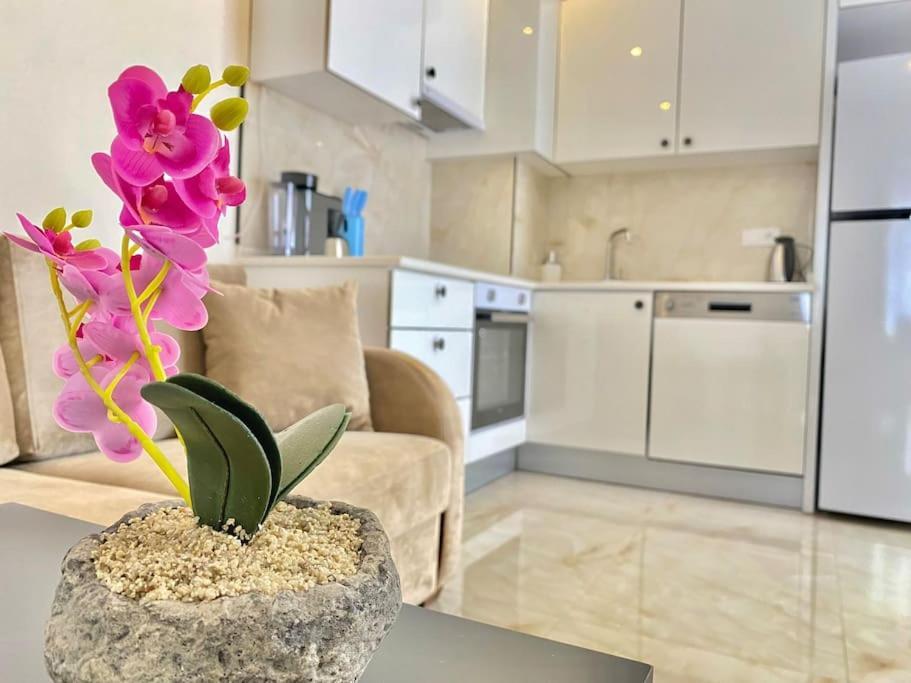 Rose 6 Comfort Living At Cleopatra Apartment